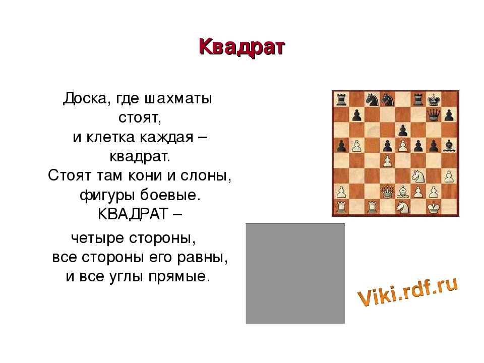 Загадки для взрослых — смешные с ответами  для веселого застолья
