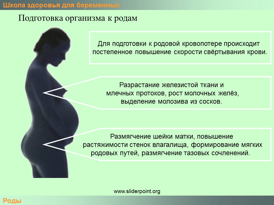 Поясница беременность форум. Подготовка организма к родам. Организм беременной женщины. Подготовка к роддом организм. Готовность организма к родам.