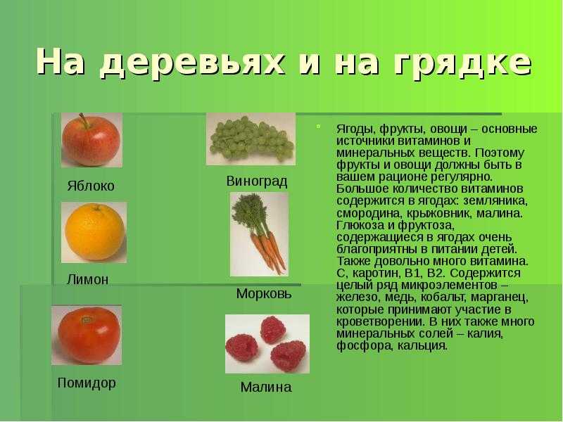Какие овощи являются ягодами. Поговорки о фруктах и овощах. Присказки про фрукты и овощи. Высказывания про овощи и фрукты. Поговорки про фрукты.