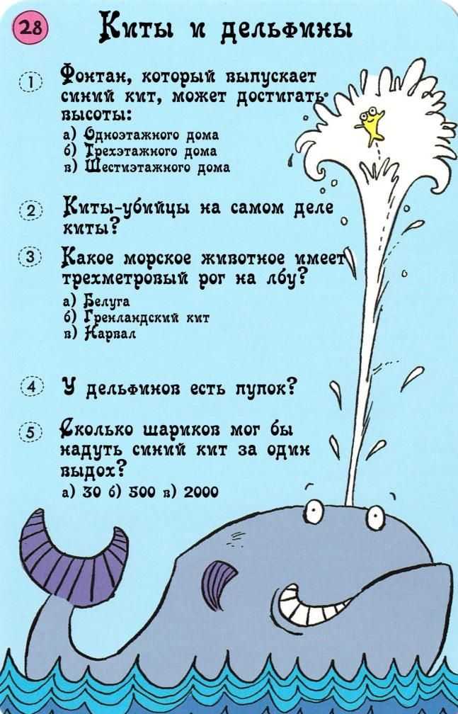 Загадки для детей на английском с ответами. riddles for kids