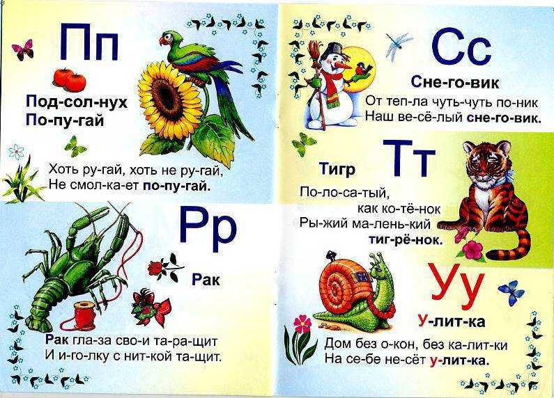 Загадки про алфавит и буквы для детей с ответами
