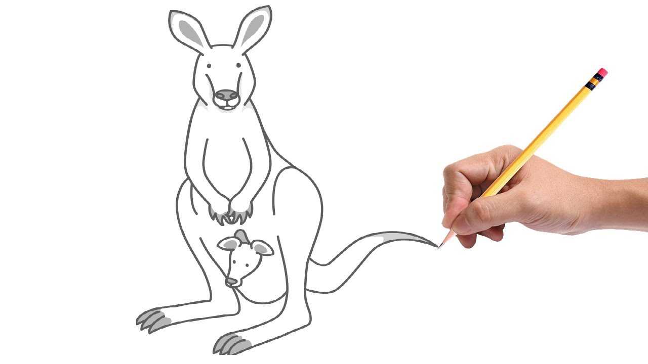 Нарисовать кенгуру поэтапно карандашом – как нарисовать кенгуру поэтапно? ✏ рисунки карандашом поэтапно — артист-ойл