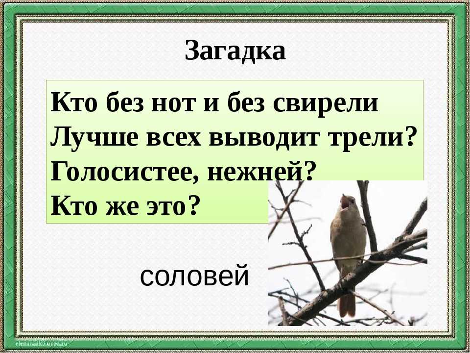 Загадки про соловья с ответами – сборник лучших загадок – ladyvi.ru