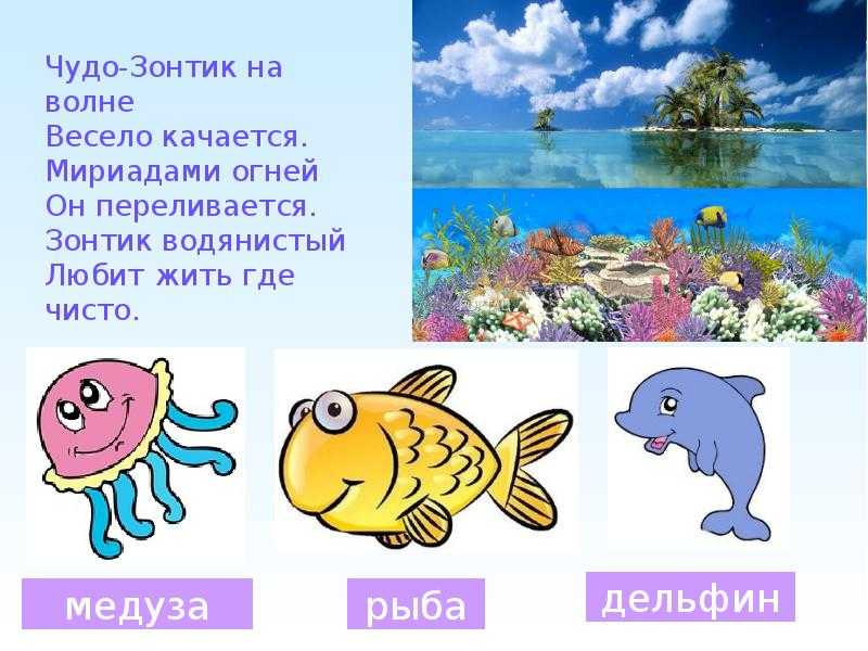 Загадки про рыб с ответами для 1 класса - детский час