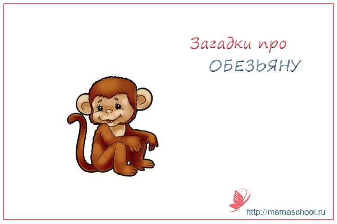 Загадки для детей про животных: обезьяны - sto5sot
