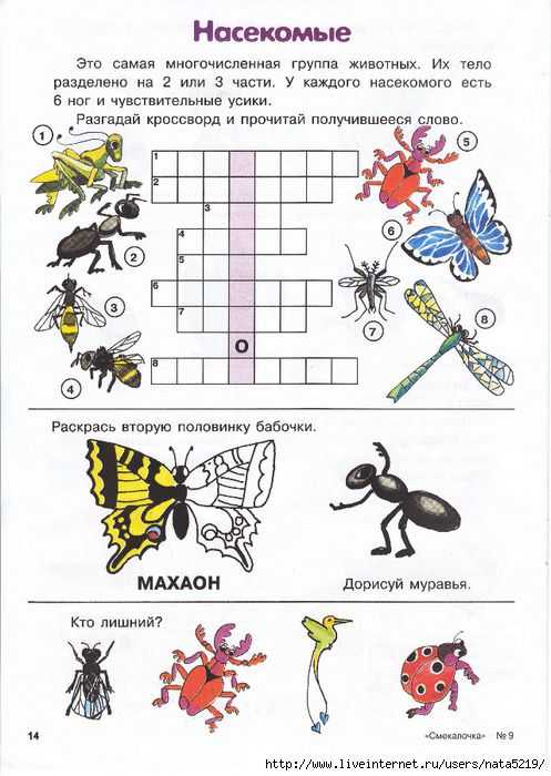 100 загадок про насекомых: изучаем маленьких букашек