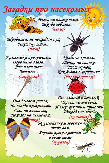 100 загадок про насекомых: изучаем маленьких букашек