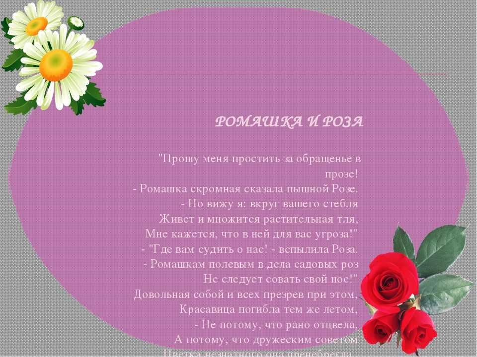 Анализ басни михалкова «ромашка и роза» :: сочинение по литературе на сочиняшка.ру
