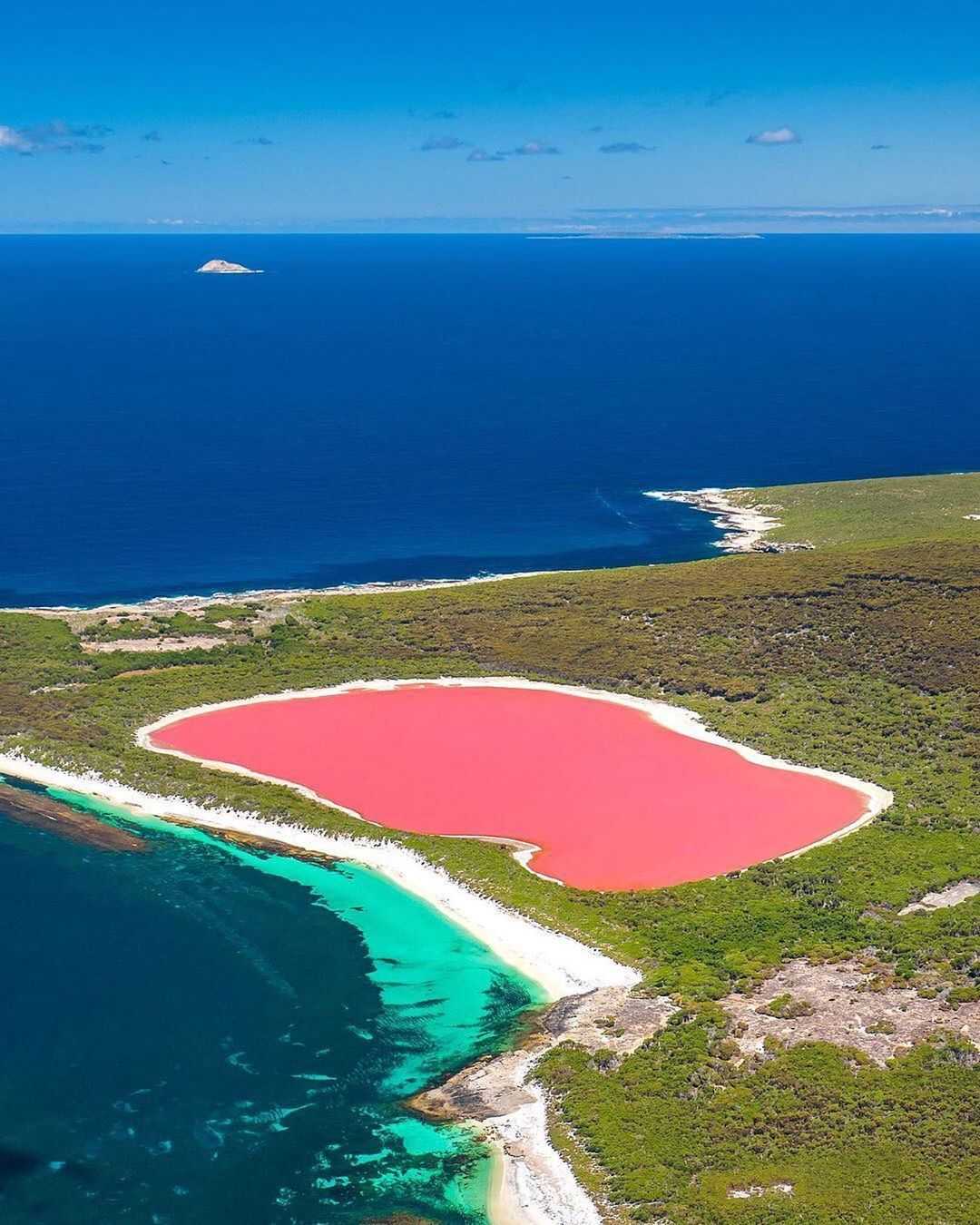 В австралии есть озера. Озеро Хиллер (остров Миддл). Розовое озеро Хиллер Австралия. Озеро Хиллер (hillier), Австралия. Озеро Ретба Сенегал.
