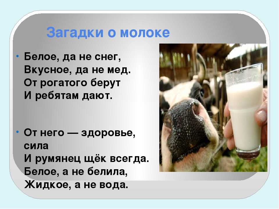 Что пьет корова загадка