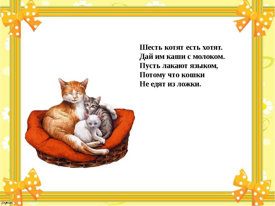 Кошка это кошка у кошки 7 котят. Стих про кошку. Стихи про котят. Детские стихи про кошек. Стих про котяру.