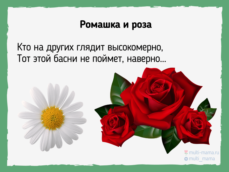 Анализ басни михалкова «ромашка и роза» - по русскому языку и литературе