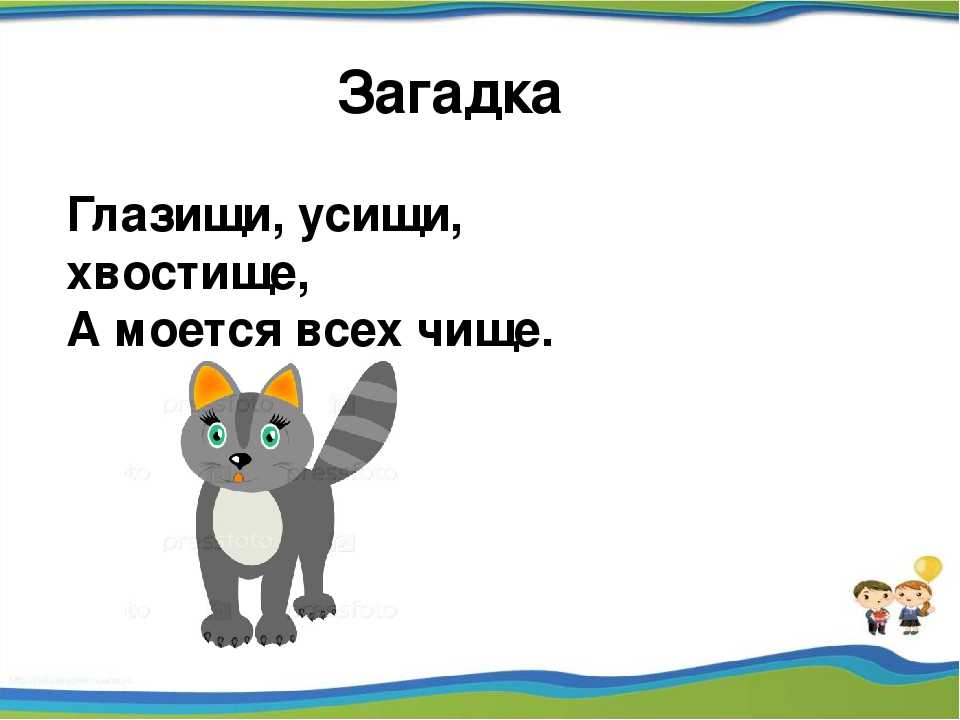 Загадки про кошек для детей (с ответами), загадки кошку кошках для самых маленьких ребят малышей ребенка школьника 1 2 3 4 5 6 лет класс детсад