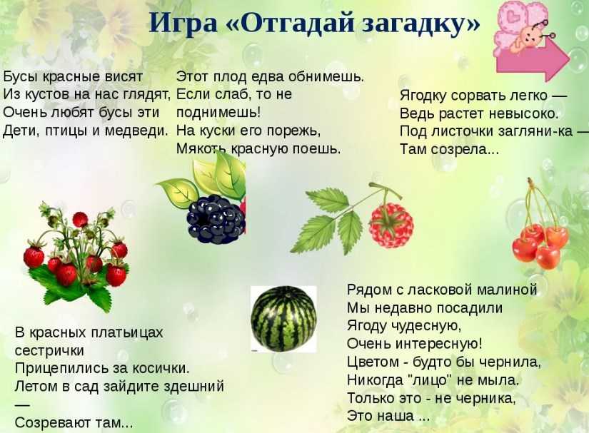 Голубика ягода. описание, особенности, полезные свойства и выращивание голубики