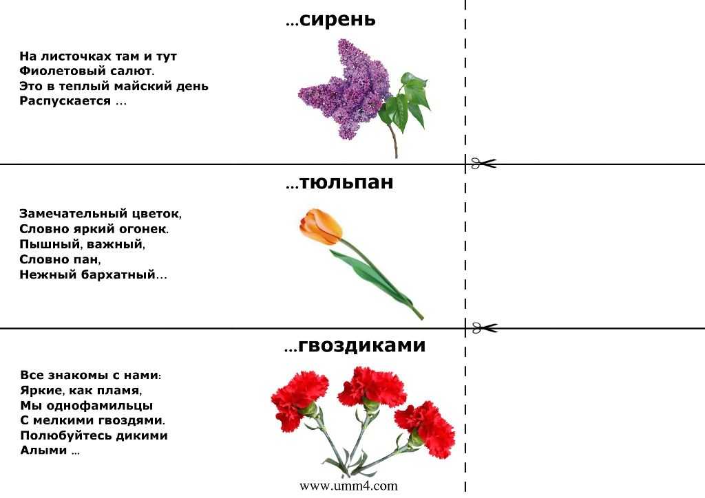 Загадки про цветы для детей с ответами