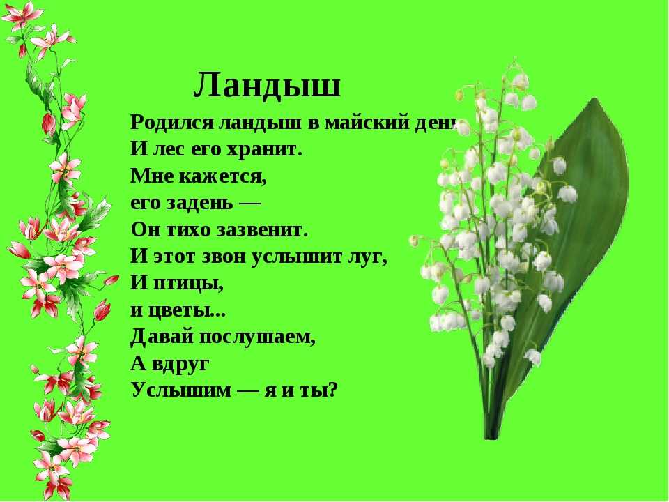 Стих про весну на татарском. Стихи о цветах. Стихи про цветы.
