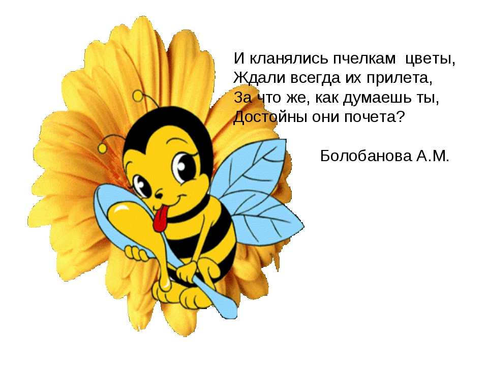 Пчелы | математические задачи - вычисления, старинные и сказочные головоломки