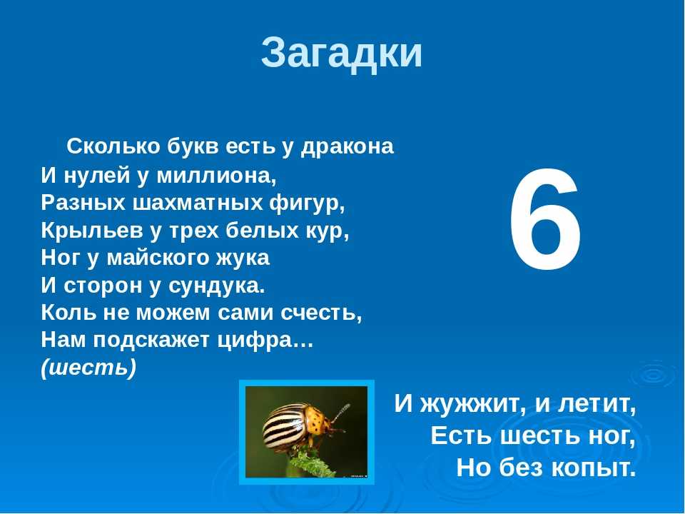 ᐉ загадки где есть цифра 6. загадки про цифры - taromasters.ru