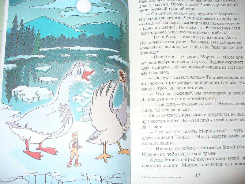 Читательский дневник «чудесное путешествие нильса с дикими гусями» сельма лагерлёф