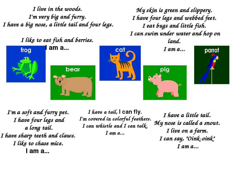 Рассказ о собаке на английском языке ️ описание домашнего животного, породы и команды питомца, перевод и транскрипция, разные примеры текстов
