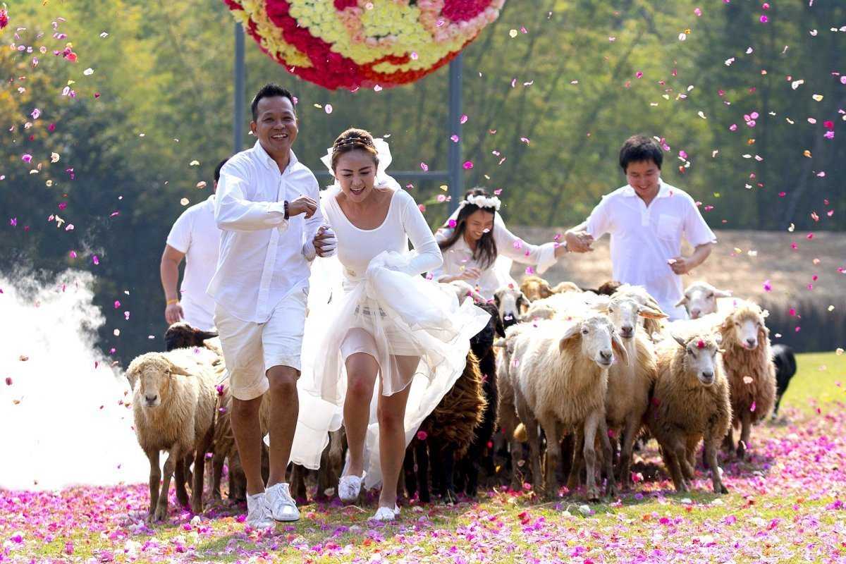 Необычные свадебные традиции разных стран | сообщество «семейные радости и традиции» | для мам