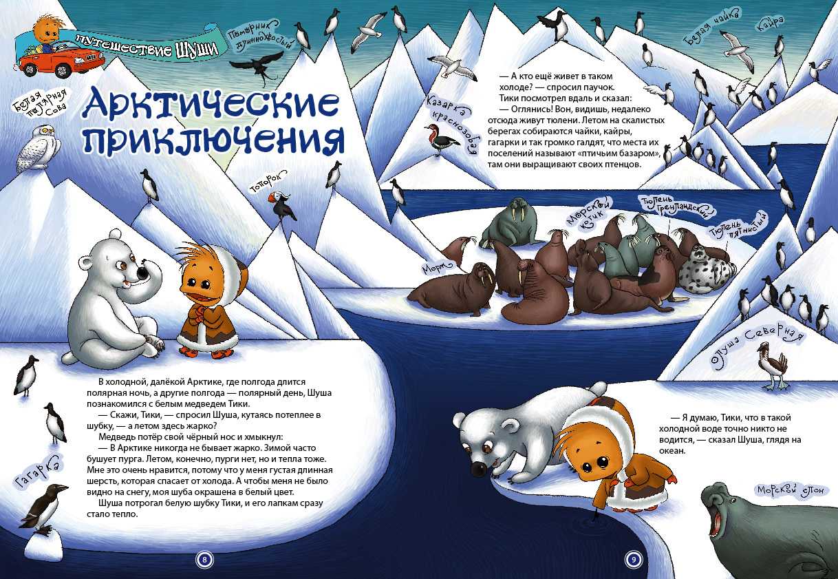 Загадки про животных арктики