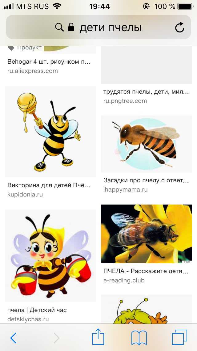 Загадки, пословицы, приметы и стихи про пчёл