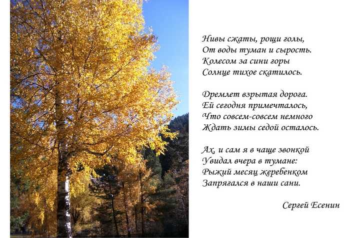 Красивые стихи про осень | rl разные люди