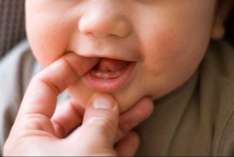 Сроки прорезывания молочных и постоянных зубов