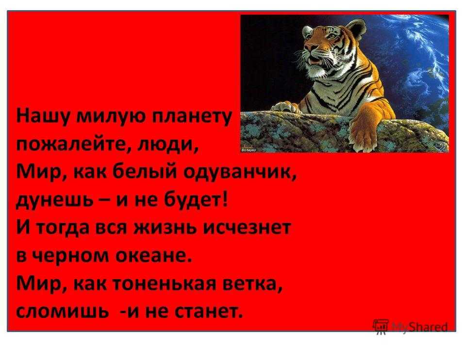Животные красной книги россии и мира | фото