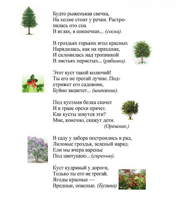 Александр пушкин — у лукоморья дуб зелёный