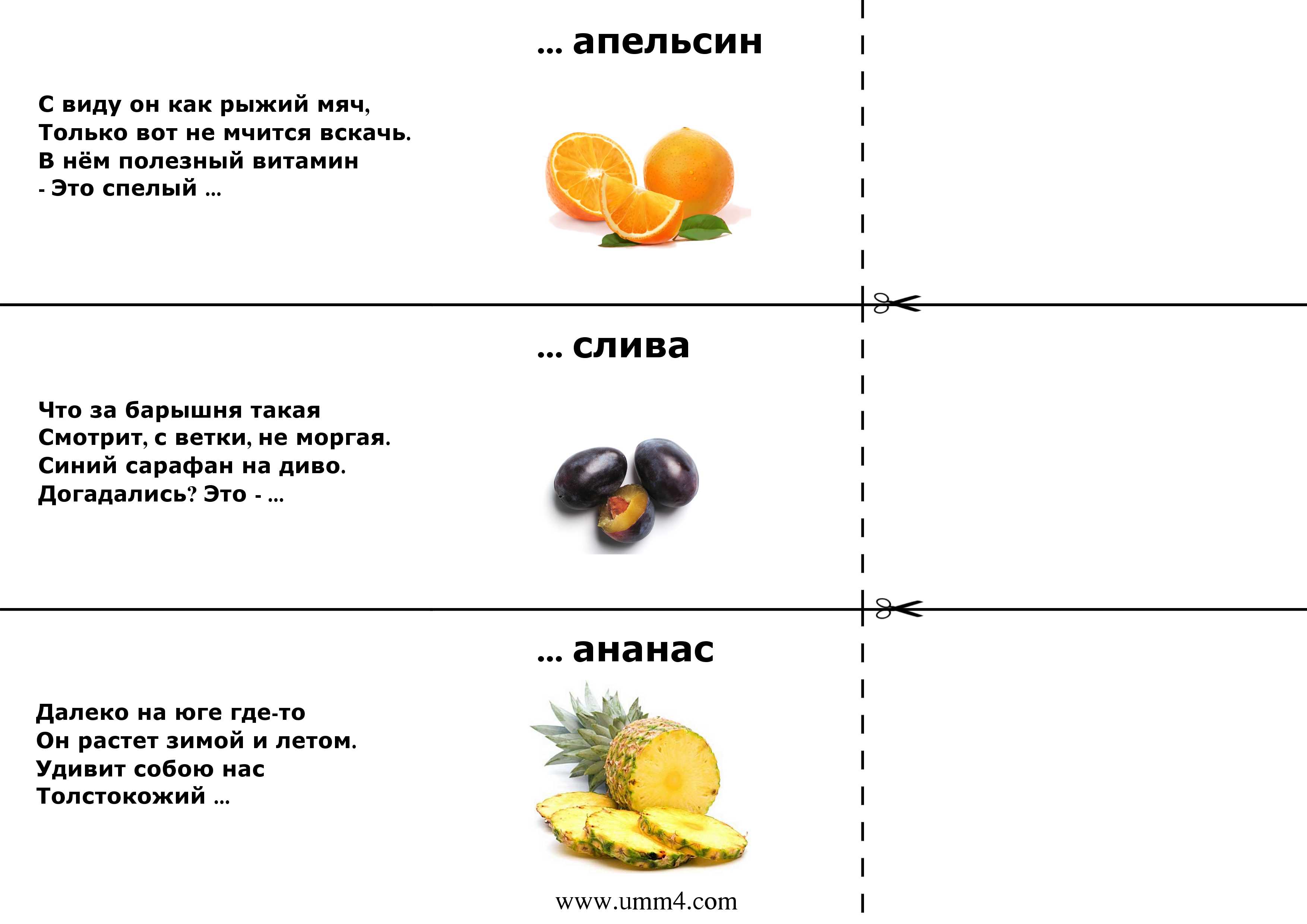 Загадки про русский язык с ответами