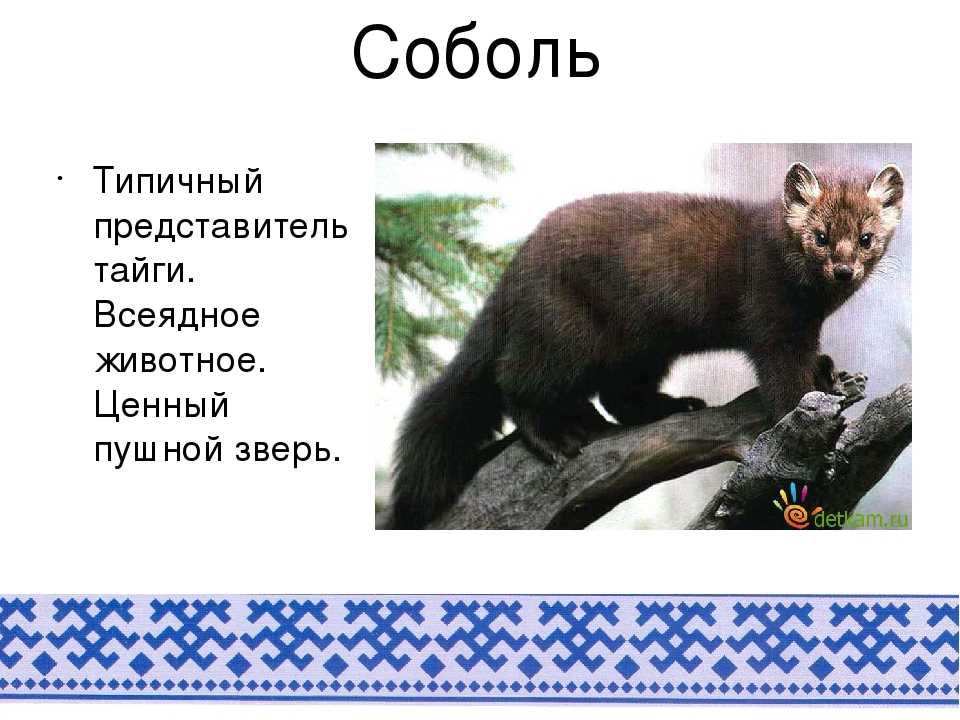 Загадка русская народная забава для детей и взрослых с ответами!!!
