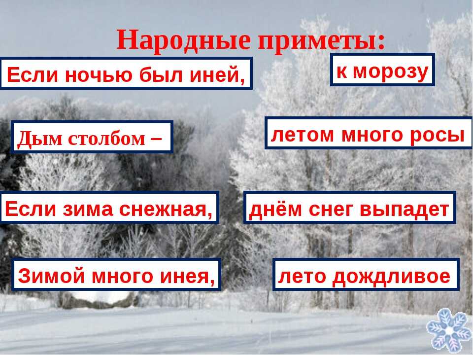 Как отличить зимний. Народные приметы о зиме. Зимние приметы в природе. Русские народные зимние приметы. 2 Приметы о зиме.