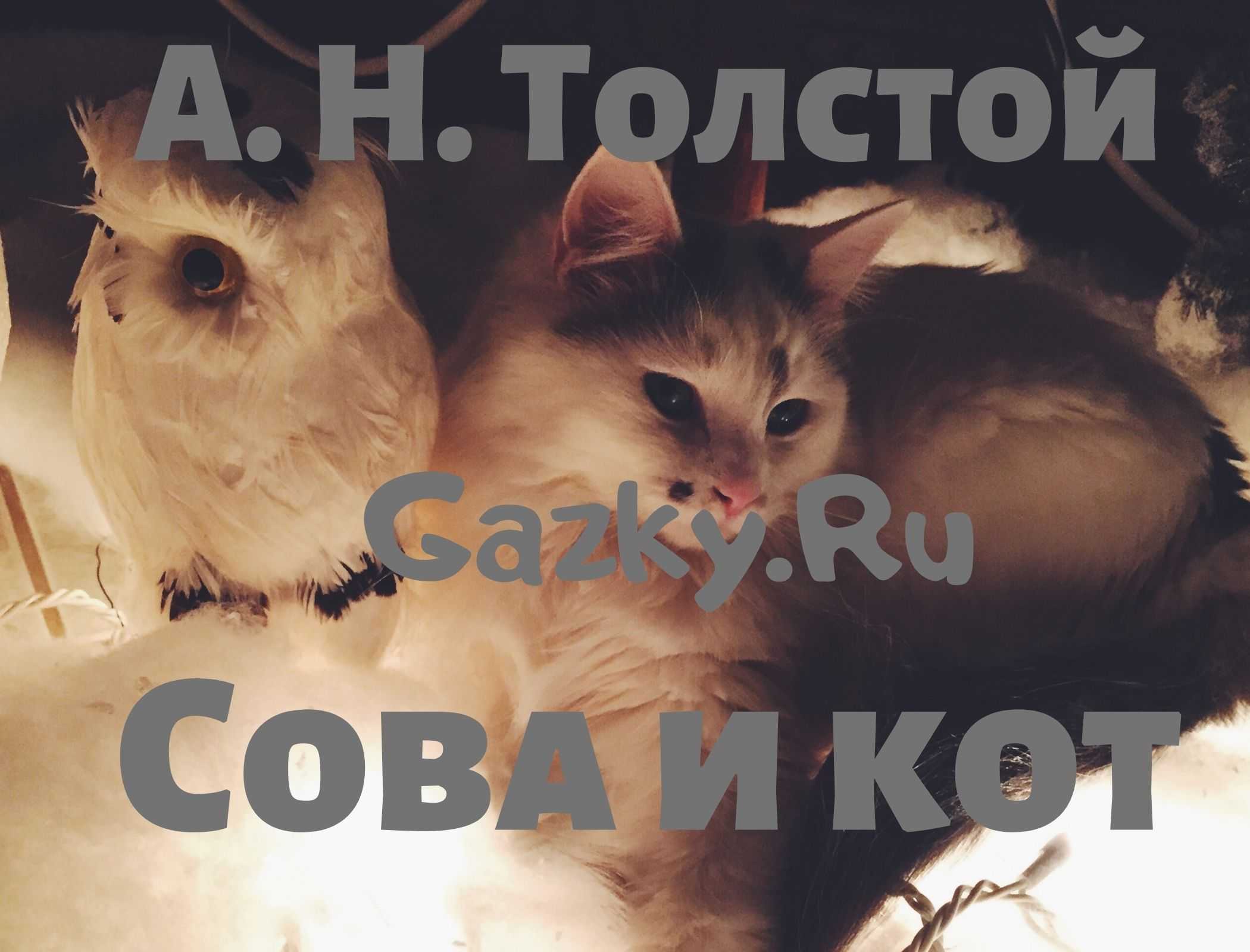 Сова: сказка виталия валентиновича бианки читать онлайн