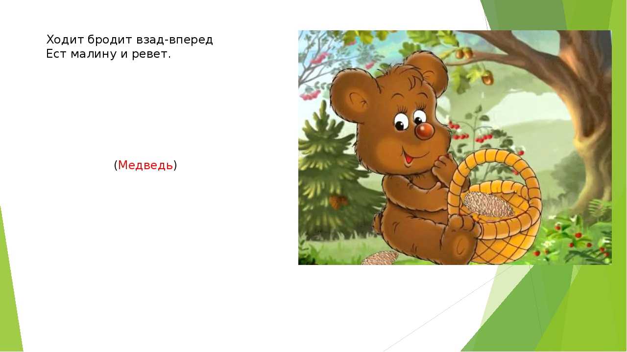 Загадки про медведя - подготовка к школе и развитие речи для детей мама7я
