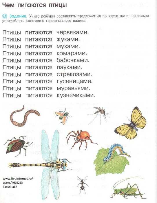 Загадки про насекомых для детей 6-7 лет с ответами