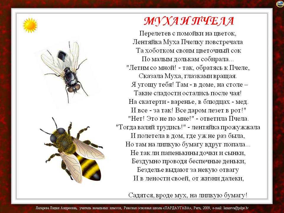 Муха и пчела Михалков. Басня Крылова про муху и пчелу. Притча о пчеле и мухе.