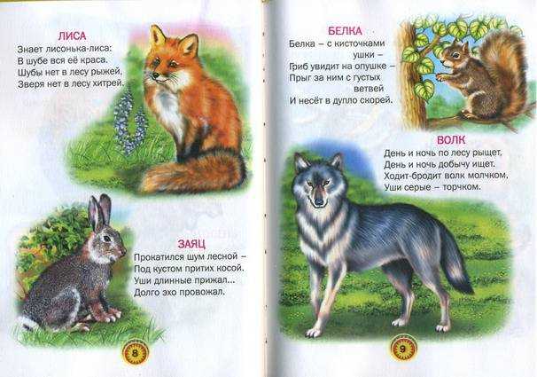 Детские Стихи о диких животных