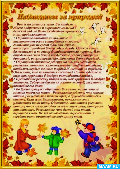 Популярные загадки для детей 5-6 лет с ответами