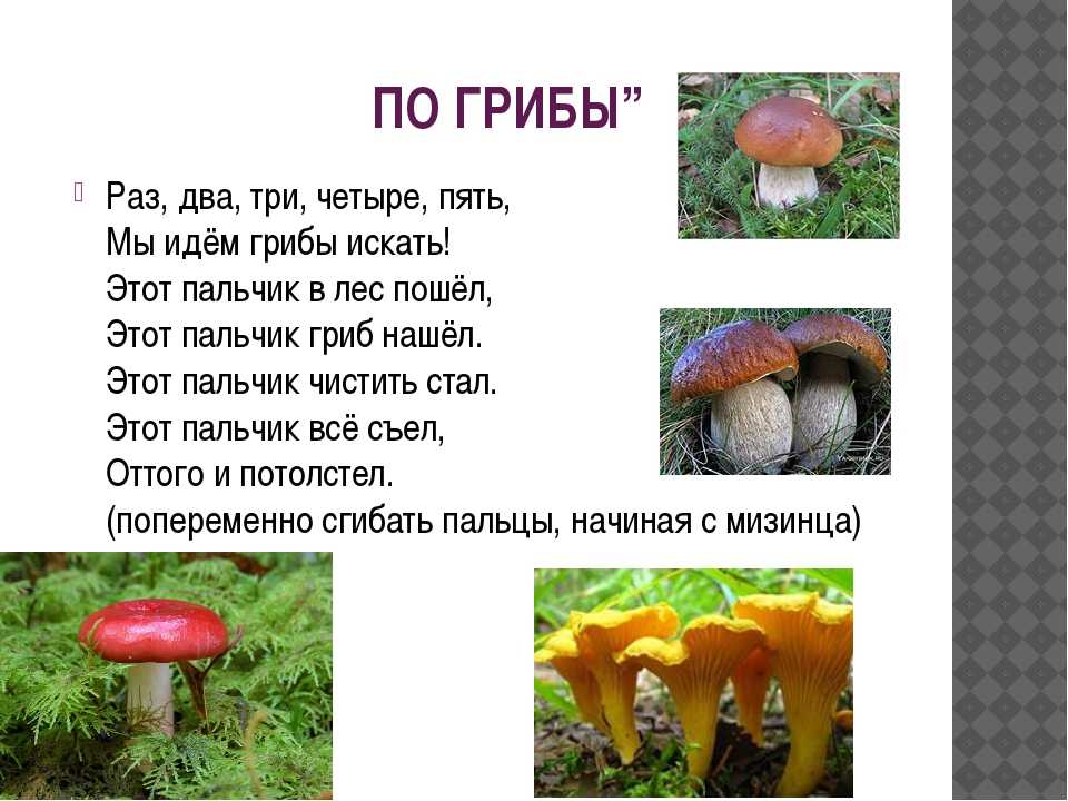 100 стихов про грибы: изучаем природные дары
