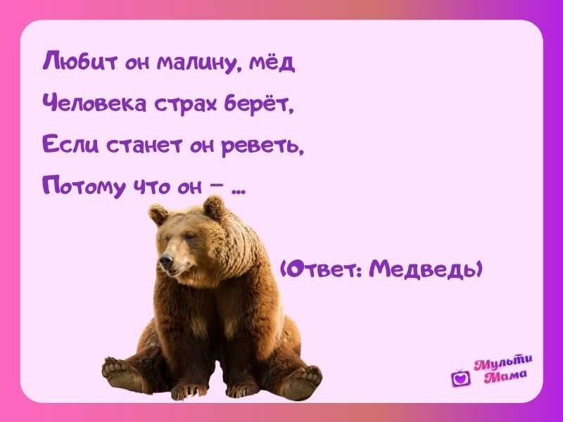 Стихи про медведя - лучшая подборка стихотворений