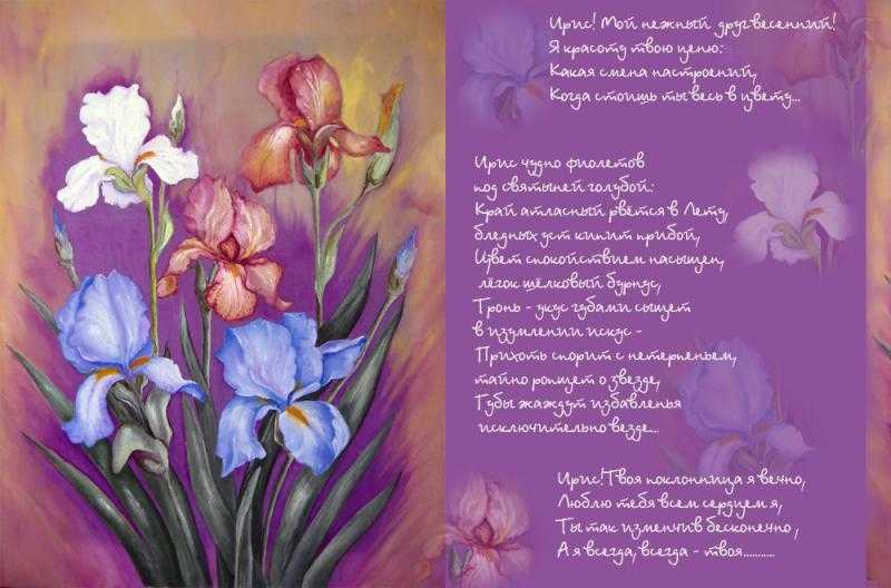 Стих букет для мамы. Стихотворение о цветах. Стихотворение про цветы. Красивое стихотворение про цветы. С днём рождения женщине ирисы.