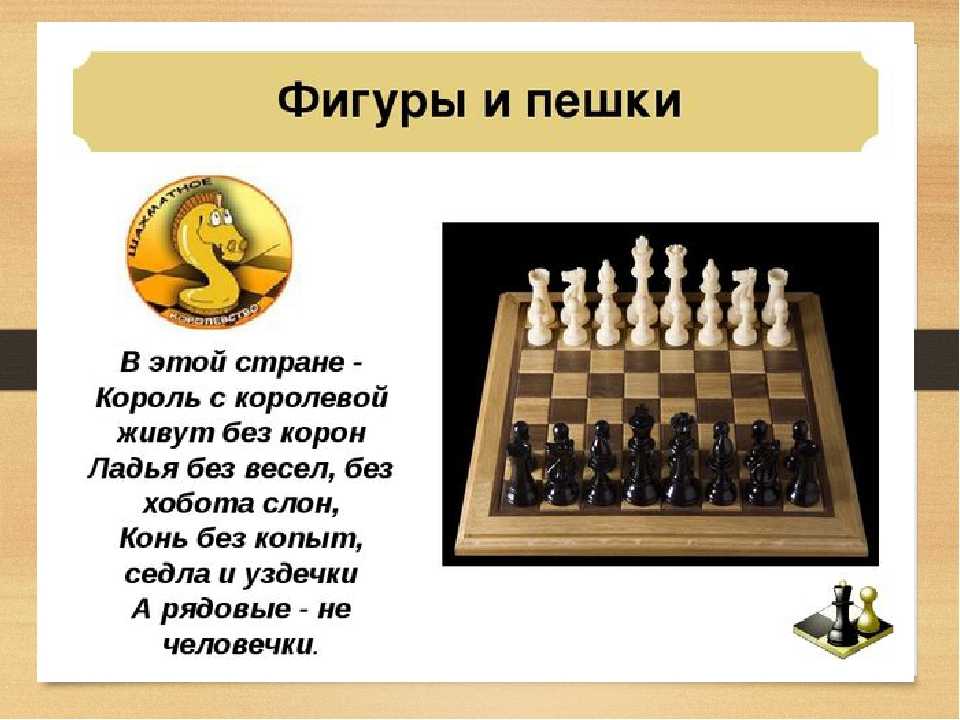 Загадки про шахматы и про шахматные фигуры