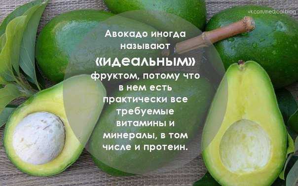 Что приготовить из авокадо – подборка лучших рецептов