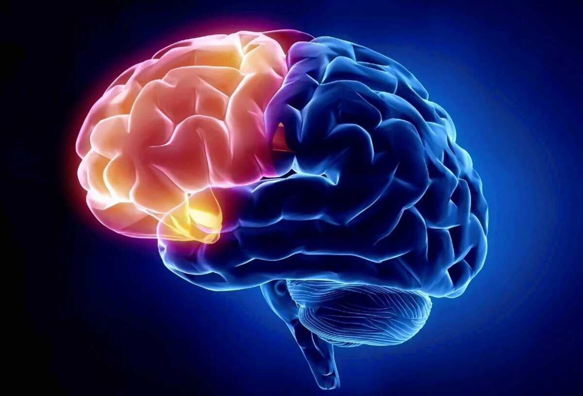 25 загадок для проверки прочности мозга (сложные и не очень)