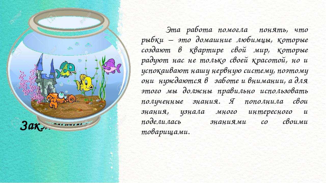 Стихи про аквариум