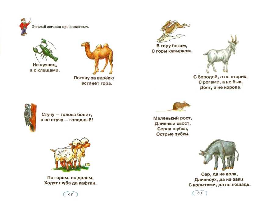 Загадки про домашних и диких животных для детей с ответами