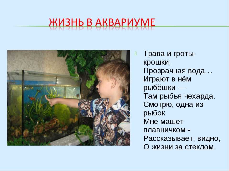Стихи про рыб для детей 4-6 лет
