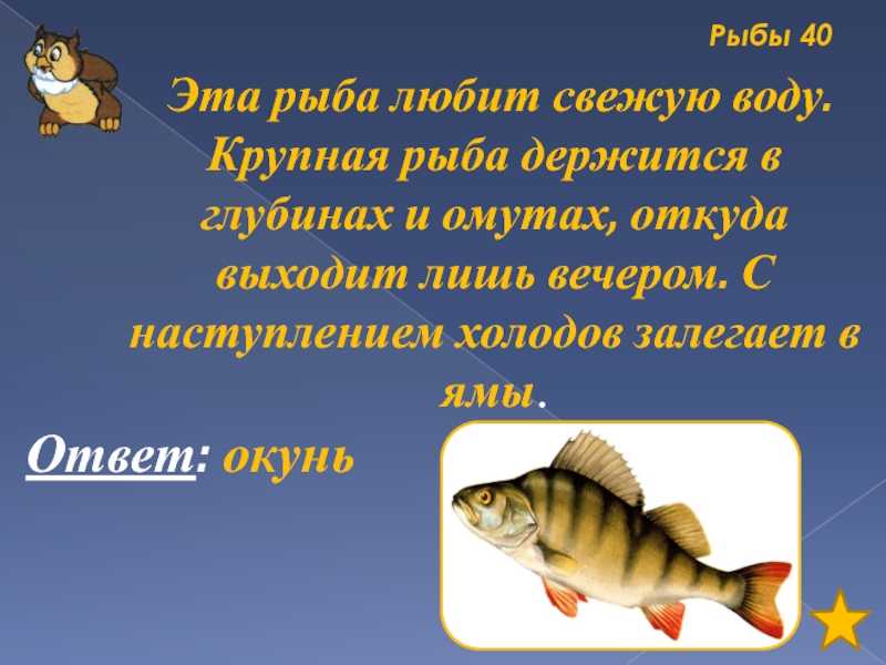 Загадки про рыб для детей с ответами